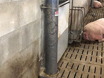 Ein Bestandteil des Raufutter- und Strohautomaten-Systems von IBO Stalltechnik für Schweine. Das Bild zeigt die Technologie zur automatischen Zufuhr von Raufutter zu den einzelnen Futterautomaten im Stall, was eine effiziente und bedarfsgerechte Versorgung der Tiere ermöglicht.