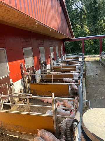 Eine Stalltür der IBO Stalltechnik.