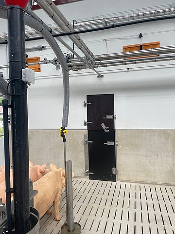 Eine Stalltür der IBO Stalltechnik.