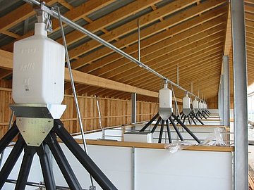 Spli-Fütterunganlage in Schweineoffenstall