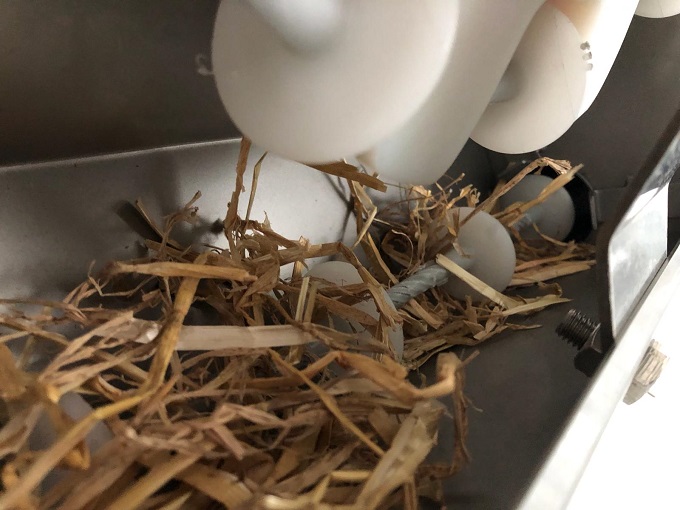Eine Komponente oder Ansicht eines automatischen Systems von IBO Stalltechnik für die Zuteilung von Raufutter, Stroh oder Einstreumaterial in Schweineställen. Solche Systeme tragen zur Tierbeschäftigung und Verbesserung der Haltungsbedingungen bei, indem sie das Material bedarfsgerecht im Stall verteilen. Das Bild zeigt die technische Ausführung des Systems.